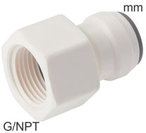 Push-In-Fittings Kunststoff G/NPT-Gewinde Weiblich Flüssigkeiten Und Lebensmittel