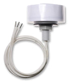 Ausgewähltes Bild der Sammlung - Twilight Switches