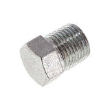 Ausgewähltes Bild der Sammlung - NPT End Cap And Plug Fittings