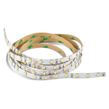 Ausgewähltes Bild der Sammlung - Light Ribbons And Strips