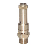 Ausgewähltes Bild der Sammlung - DN10 Non-Adjustable Safety Valves