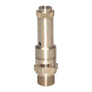 DN10 Non-Adjustable Safety Valves