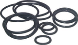 Ausgewähltes Bild der Sammlung - General Purpose O-Rings