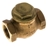 Ausgewähltes Bild der Sammlung - Check Valves For Steam