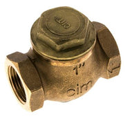 Check Valves For Steam