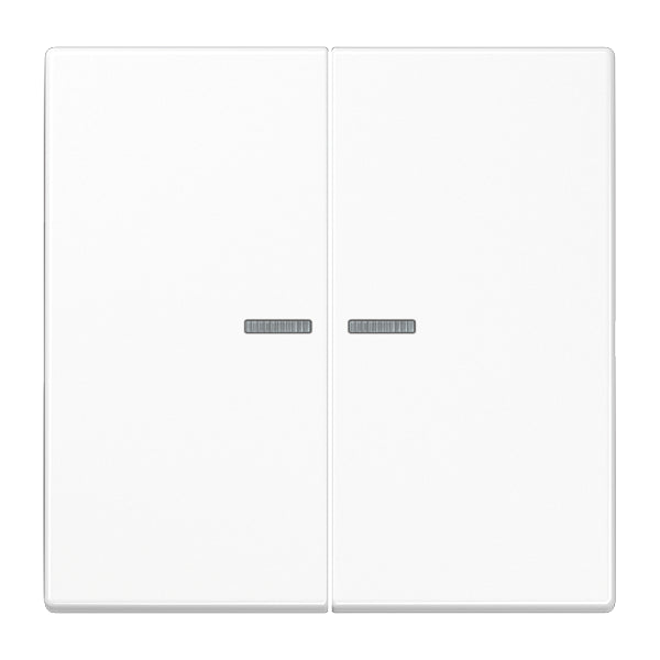 Jung LS RANGE Control Element/Central Plate Switchgear - LS995KO5WW