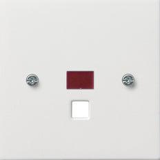 Gira F100 Control Element/Central Plate Switchgear - 0638112