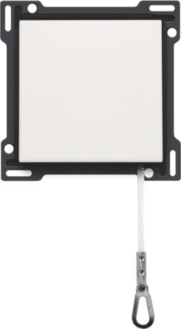Niko Original Control Element/Central Plate Switchgear - 101-63606