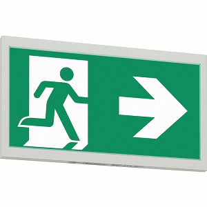 Eaton Blessing GuideLED Emergency Lighting Fixture - 40071353641