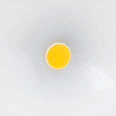 Steinel LS Downlight/Spotlight/Floodlight - 052546