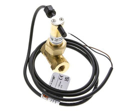 G1/4'' Messing Inline-Paddel-Strömungsschalter 2.3-4.7 l/min 100 bar