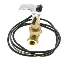 G3/8'' Messing Inline-Paddel-Strömungsschalter 2.8-6 l/min 100 bar