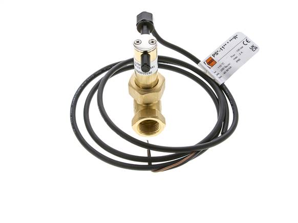 G1/2'' Messing Inline-Paddel-Strömungsschalter 2.7-6.4 l/min 100 bar