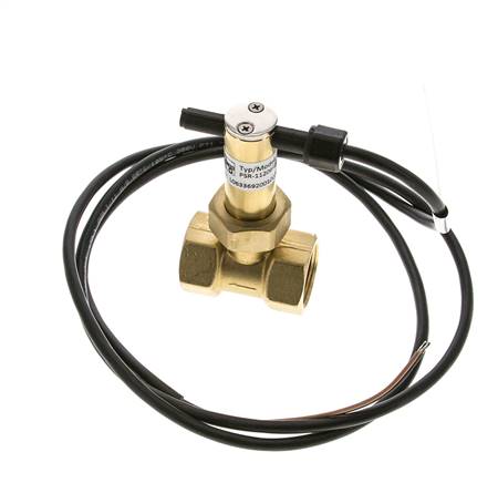 G3/4'' Messing Inline-Paddel-Strömungsschalter 7.7-13.4 l/min 100 bar