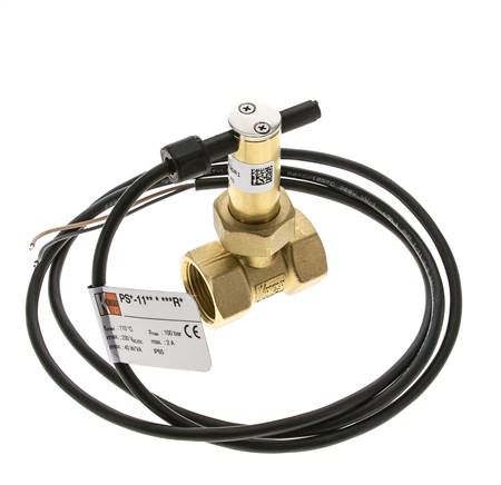 G3/4'' Messing Inline-Paddel-Strömungsschalter 7.7-13.4 l/min 100 bar