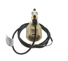 G1 1/4'' Messing Inline-Paddel-Strömungsschalter 22-38.6 l/min 25 bar