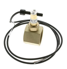 G1 1/2'' Messing Inline-Paddel-Strömungsschalter 34.8-64.2 l/min 25 bar