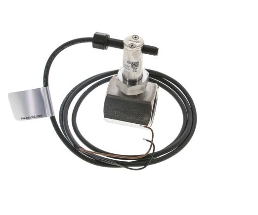 G1 1/4'' Edelstahl Inline-Paddel-Strömungsschalter 22-38.6 l/min 40 bar