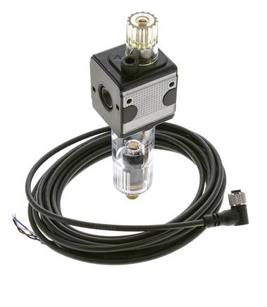 Schmierstoff G1/4'' Elektrische Füllstandüberwachung Polycarbonat Multifix 1