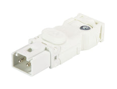Wieland Gesis Ministecker 2P Stecker 16A 250V - 91.922.3053.0 [100 Stück]