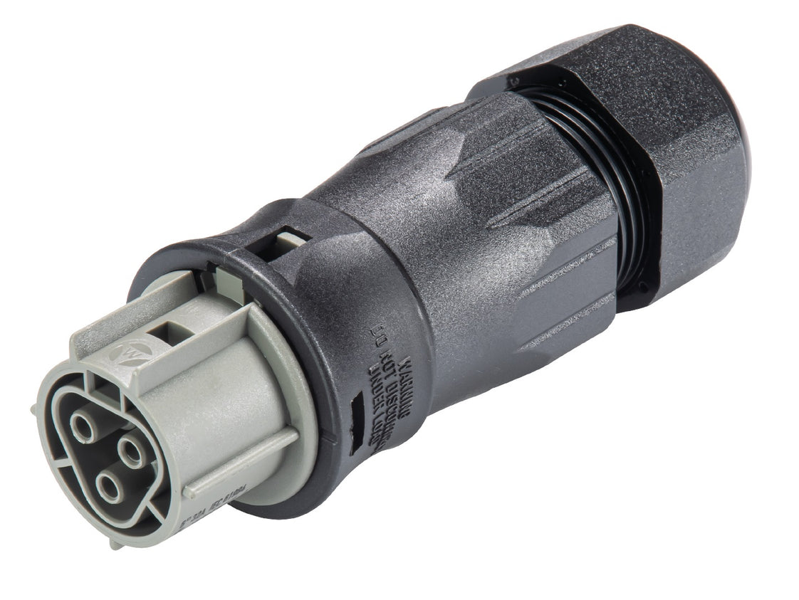 Wieland RST25I3S B1 ZR3SV BG03 Stecker - 96.031.4554.3 [100 Stück]