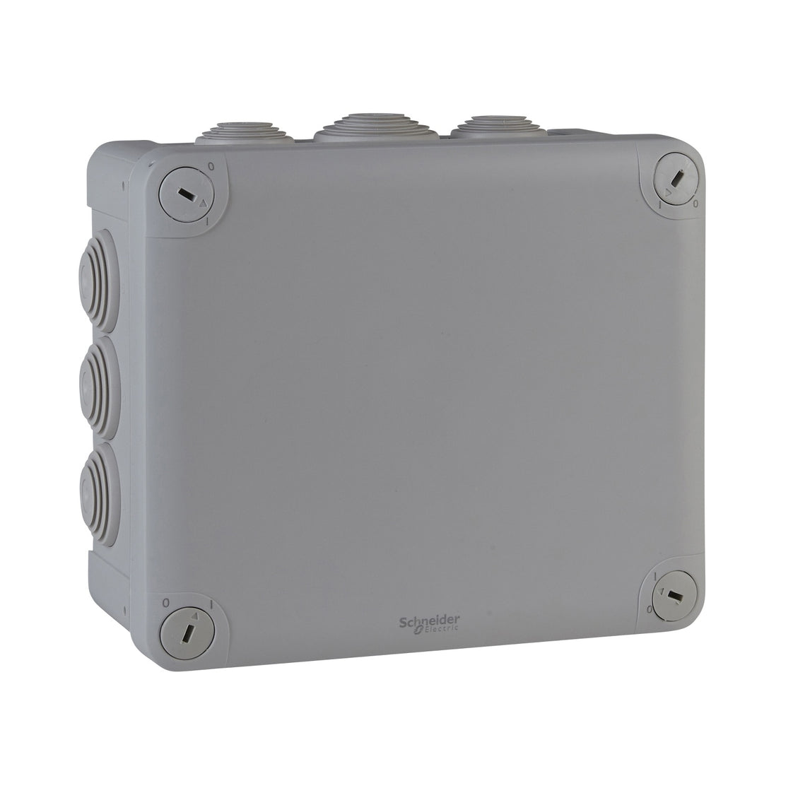 Schneider Electric Sarel MUREVA Aufputzdose Wand/Decke - ENN05010