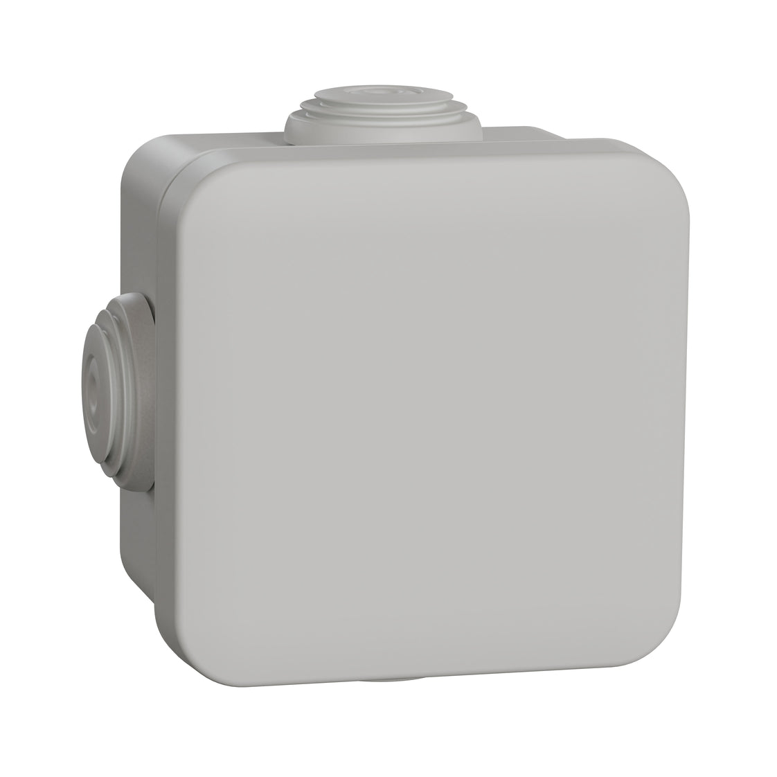 Schneider Electric Sarel MUREVA Aufputzdose Wand/Decke - ENN05002 [2 Stück]