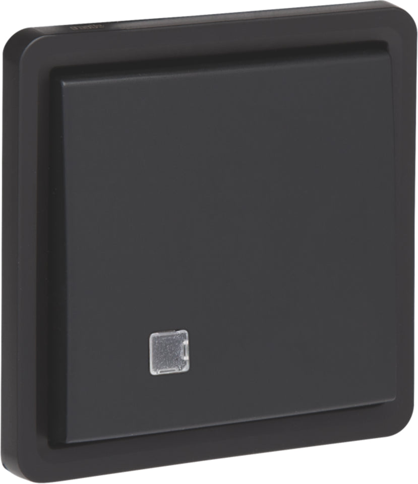 IP55 Zwei Polige Steuerungsschalter 10AX 250V Mit Steckeranschlüssen - 761-37205