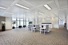 Philips Master Led T8 Rohr 1500mm 20W 4000K HF - 8719514466906