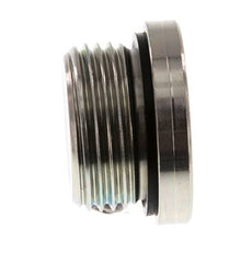 G 1'' Außengewinde Verzinkter Stahl Verschlussstopfen mit Innensechskant und NBR-Dichtung 400 Bar