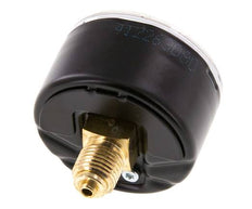 0..10 Bar (0..145 psi) Druck Manometer hinten Stahl / Messing 50 mm Klasse 1.6