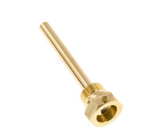Kupferlegierung G 1/2 Zoll Bolzenbefestigung Tauchhülse für 100mm Schaft Max 160°C und 6 Stäbe