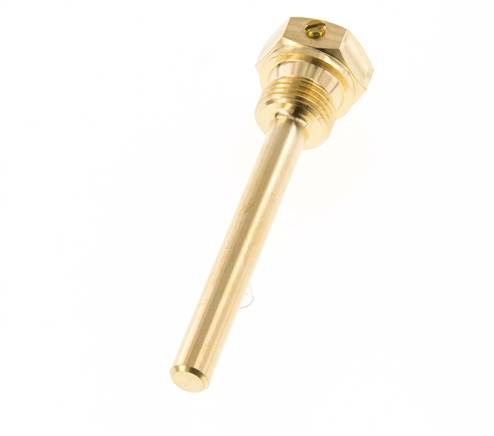Kupferlegierung G 1/2 Zoll Bolzenbefestigung Tauchhülse für 100mm Schaft Max 160°C und 6 Stäbe