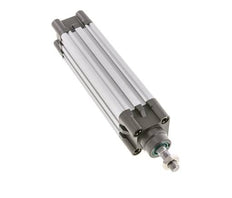 ISO 15552 Doppeltwirkender Zylinder 32-100mm - Magnetisch - Dämpfend