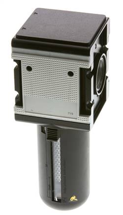 Aktivkohlefilter G1'' 3000l/min Halbautomatischer Schutzkäfig Polycarbonat Multifix 4