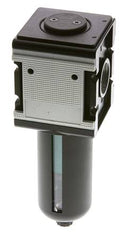 Microfilter 0.01microns G1'' 1500l/min Halbautomatischer Schutzkäfig aus Polycarbonat Multifix 4