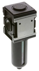 Microfilter 0.01microns G1'' 1500l/min Halbautomatischer Schutzkäfig aus Polycarbonat Multifix 4