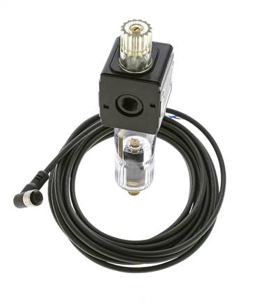 Schmierstoff G1/4'' Elektrische Füllstandüberwachung Polycarbonat Multifix 1