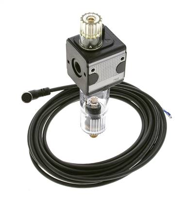 Schmierstoff G1/4'' Elektrische Füllstandüberwachung Polycarbonat Multifix 1