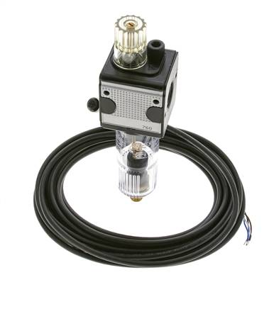 Schmierstoff G1/4'' Elektrische Füllstandüberwachung Polycarbonat Multifix 1