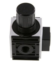 Druckregler G1/4'' 1000l/min 0.2-4.0bar/3-58psi PA Futura 0