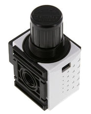 Druckregler G1/4'' 1000l/min 0.2-4.0bar/3-58psi PA Futura 0