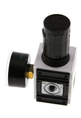 Druckregler G1/4'' 2000l/min 0.5-8.0bar/7-116psi PA Futura 1