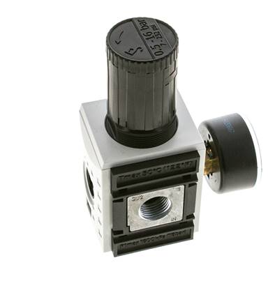 Druckregler für Sammelstückmontage G1/2''&3/8'' 5200l/min 0.5-16.0bar/7-232psi PA Futura 2