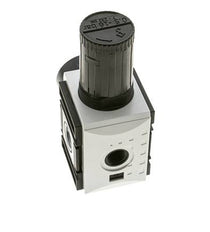 Druckregler für Sammelstückmontage G1/2''&3/8'' 5200l/min 0.5-16.0bar/7-232psi PA Futura 2