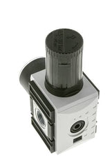 Präzisionsdruckregler G1/2'' 5200l/min 0.5-10.0bar/7-145psi PA Futura 2