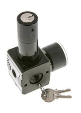 Druckregler für Sammelstückmontage G1/4'' 2250l/min 0.1-3.0bar/1-44psi Zinkdruckguss 40 mm Manometer Zylinderschloss Multifix 1
