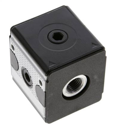 Verteiler G1/4 700 l/min mit Rückschlagventil Multifix 1