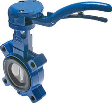 DN100 (4 inch) PN6 Lug Butterfly Valve GGG40-Stainless steel-FKM