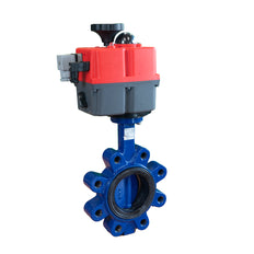 Electric Butterfly Valve DN65 24-240V AC/DC Fail-Safe Lug GGG40 FKM J+J